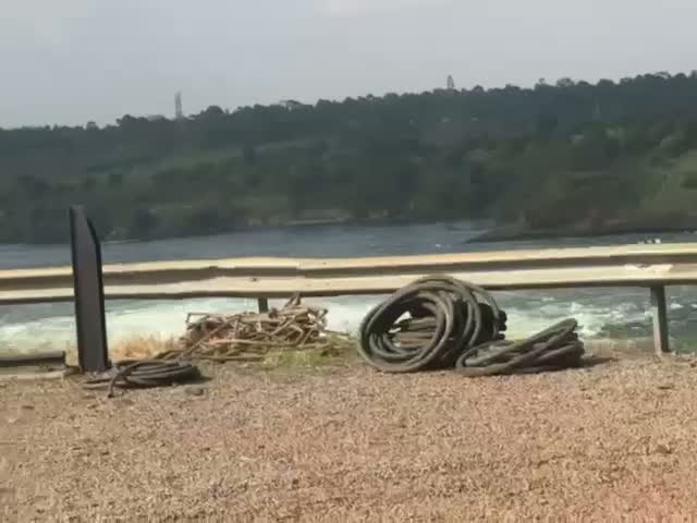 The shoreline setting